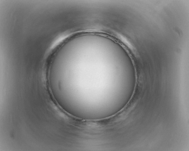 X0000115671456200911251720