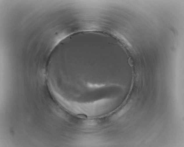 X0000115671457200911251720