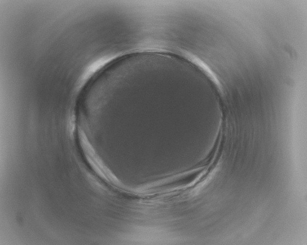 X0000115671461200911251720
