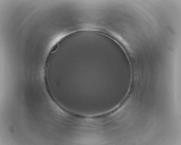 X0000115671463200911251720