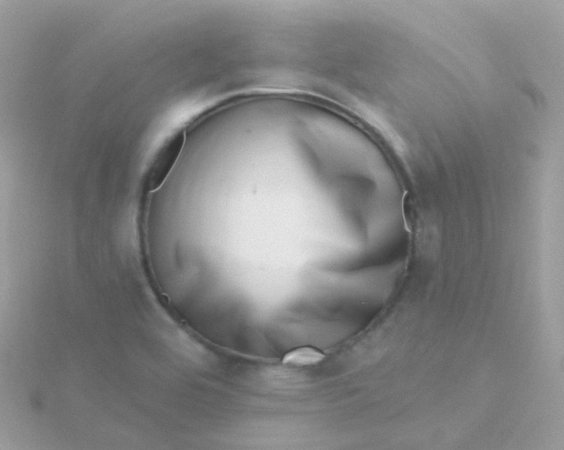X0000115671464200911251720