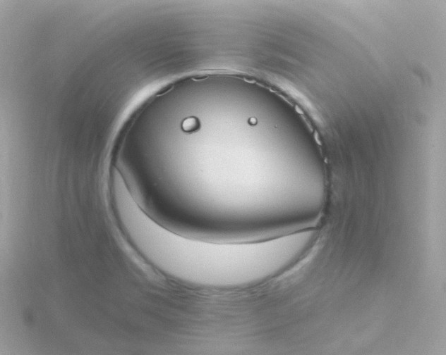 X0000115671469200911251720