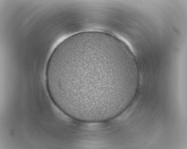 X0000115671471200911251720