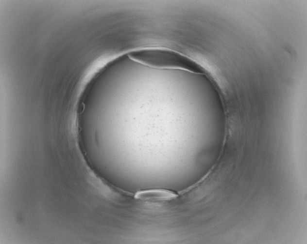 X0000115671472200911251720