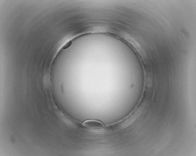 X0000115671473200911251720