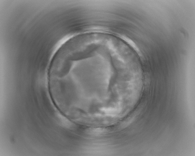X0000115671474200911251720