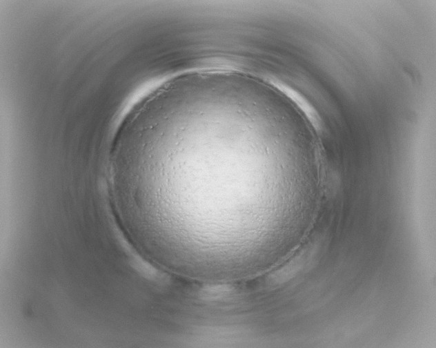 X0000115671477200911251720