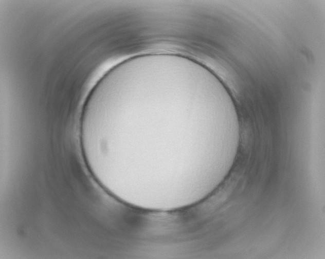 X0000115671478200911251720