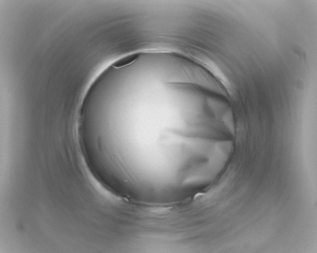 X0000115671484200911251720