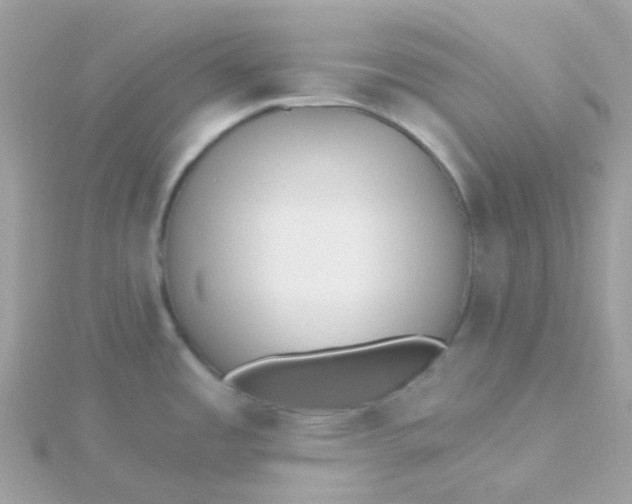 X0000115671485200911251720