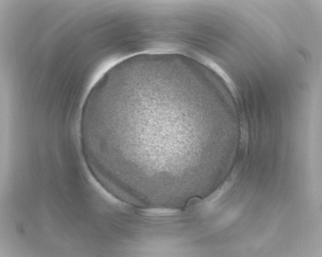X0000115671487200911251720