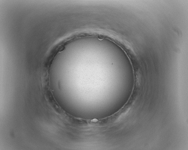 X0000115671494200911251719