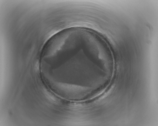 X0000115671505200911251719