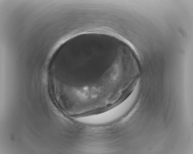X0000115671506200911251720
