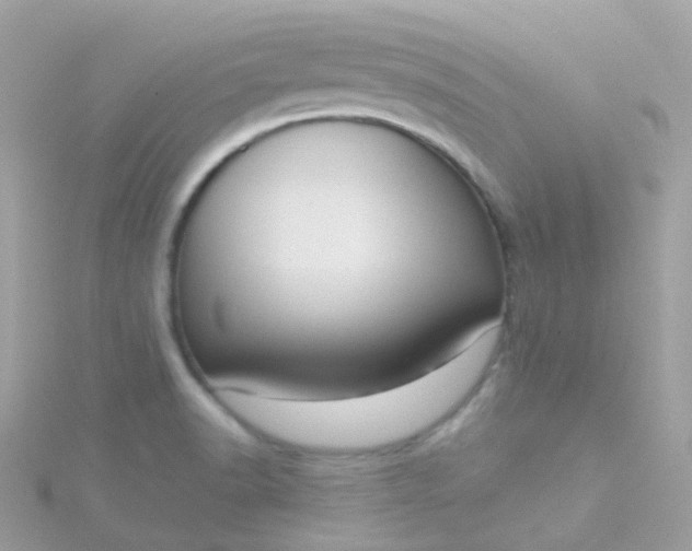 X0000115671518200911251720