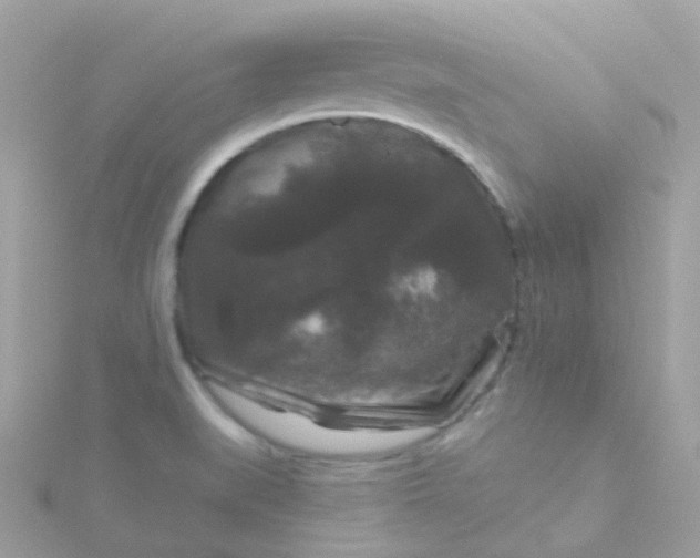 X0000115671519200911251720