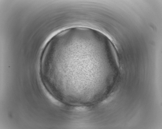 X0000115671523200911251720