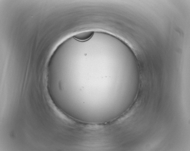X0000115671526200911251720