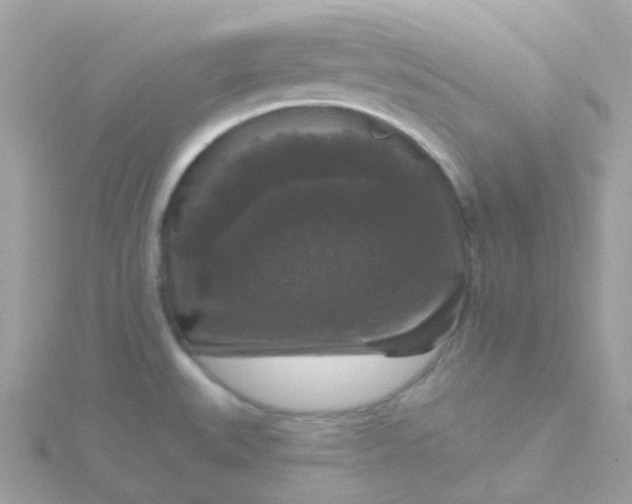 X0000115671527200911251720
