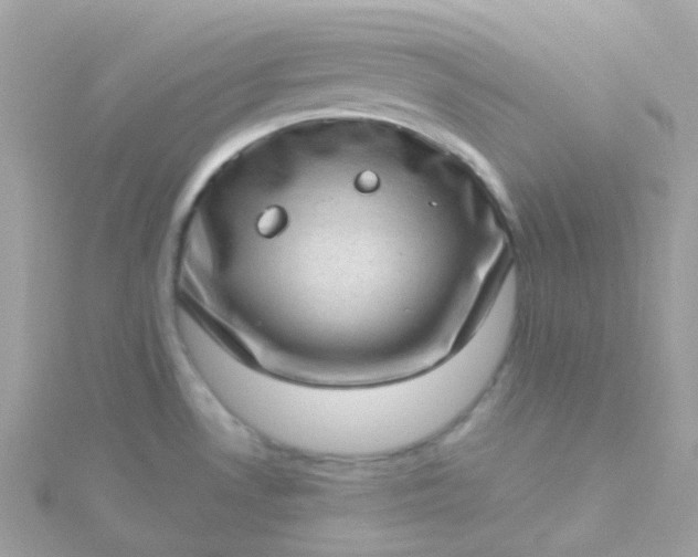 X0000115671530200911251720