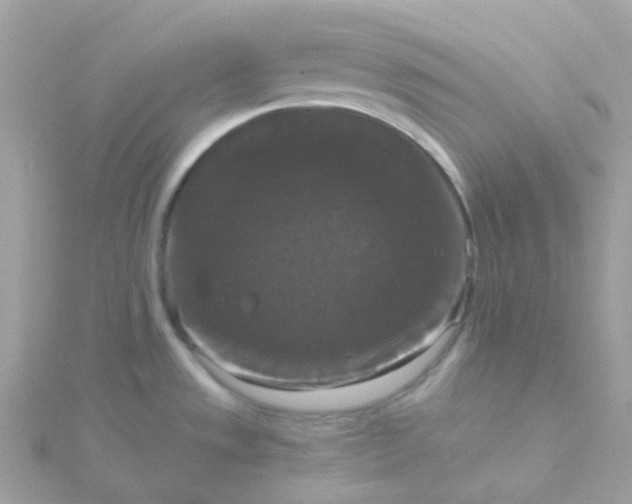 X0000115671533200911251720