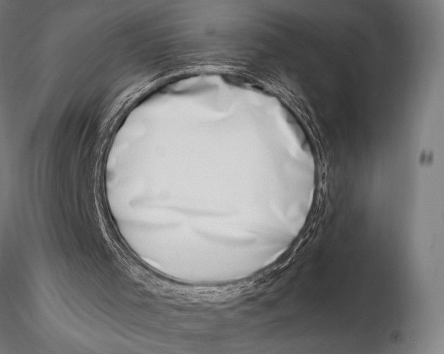 X0000115670001200912031407