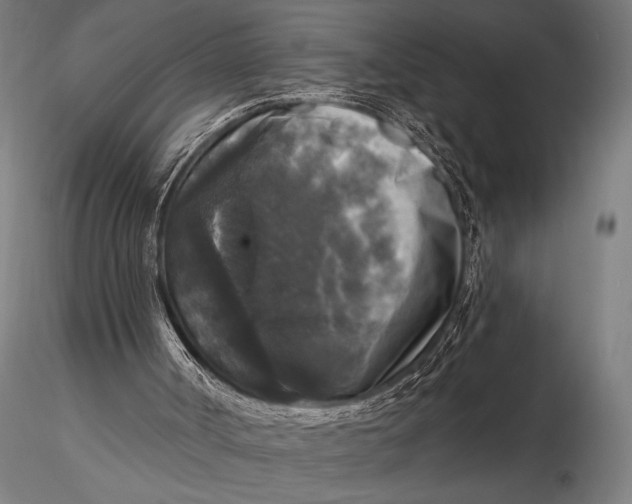 X0000115670002200912031407