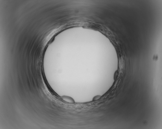 X0000115670003200912031407