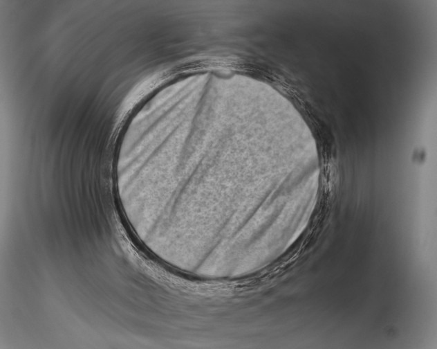 X0000115670004200912031407