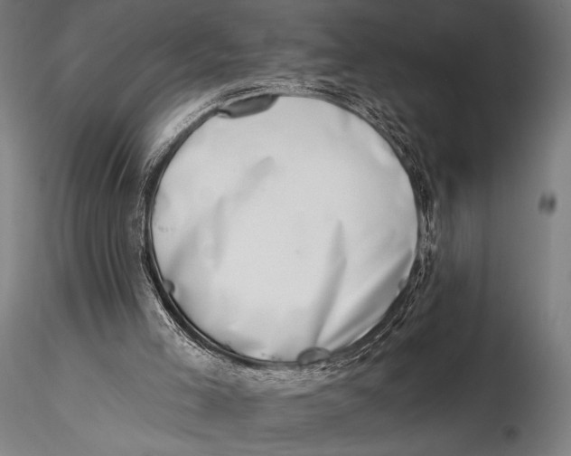 X0000115670005200912031407