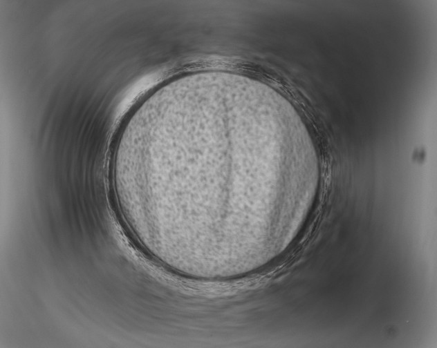 X0000115670006200912031407