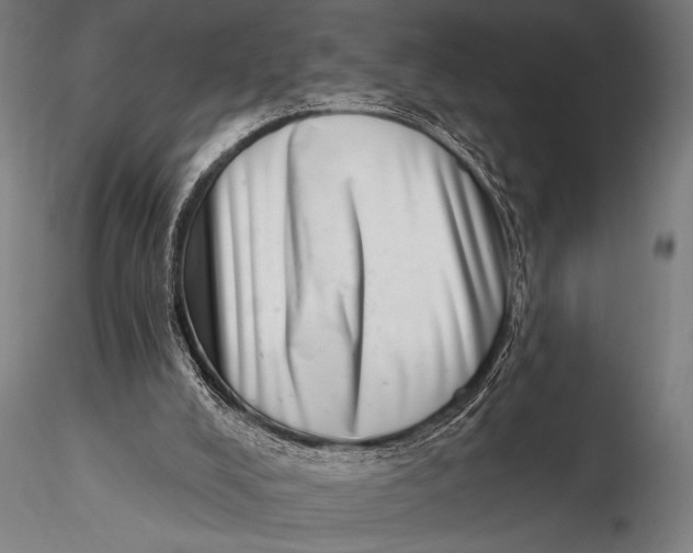 X0000115670008200912031407