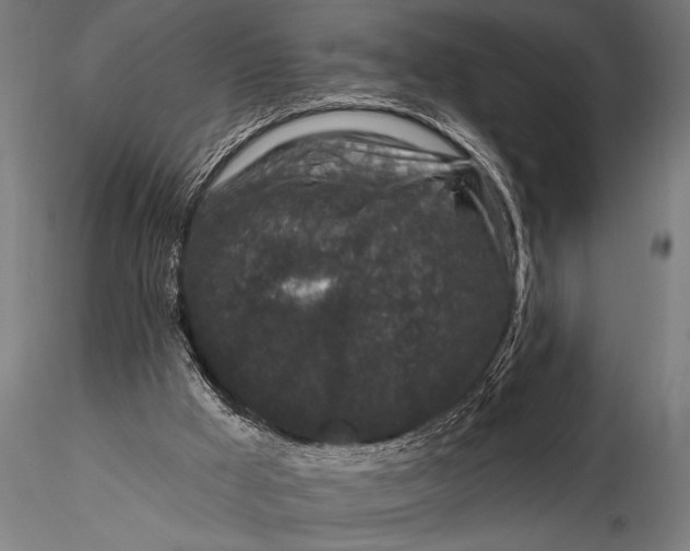 X0000115670009200912031407