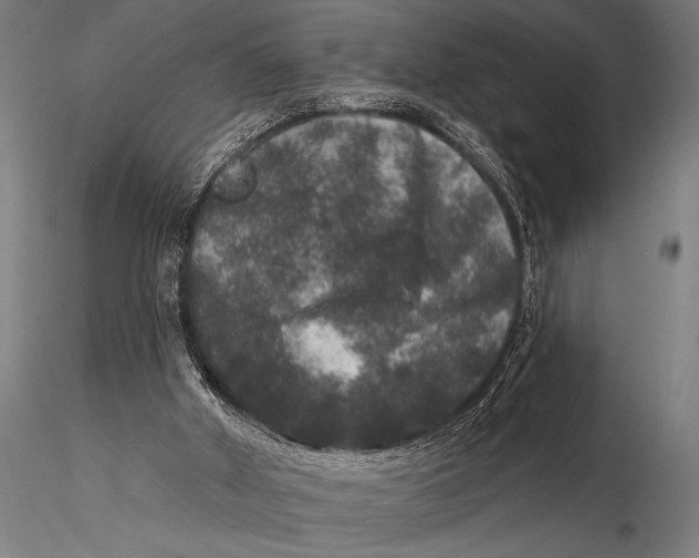 X0000115670010200912031407