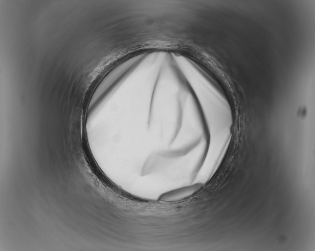 X0000115670011200912031407