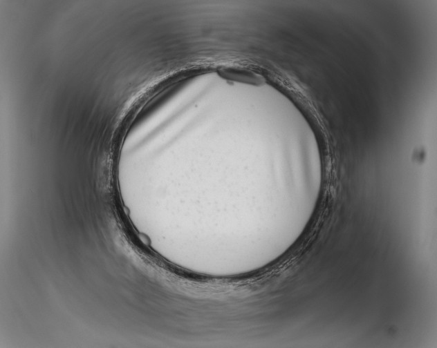 X0000115670012200912031407