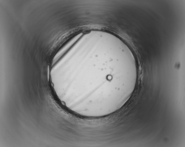 X0000115670013200912031407