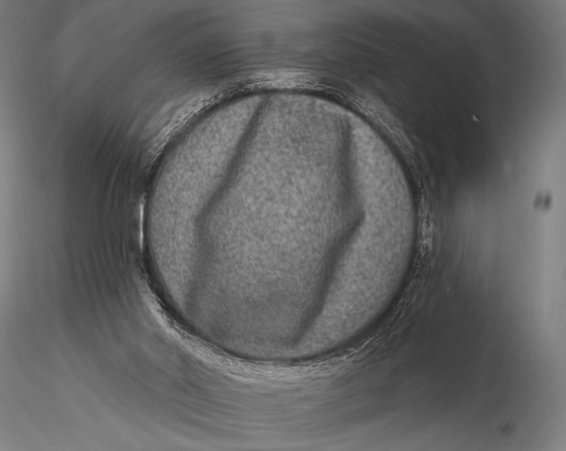 X0000115670014200912031407