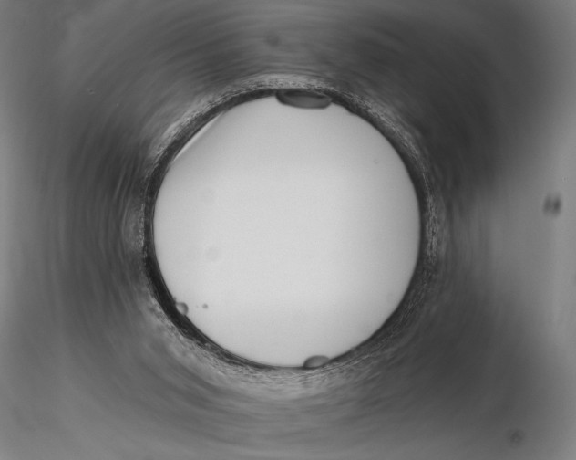 X0000115670015200912031407