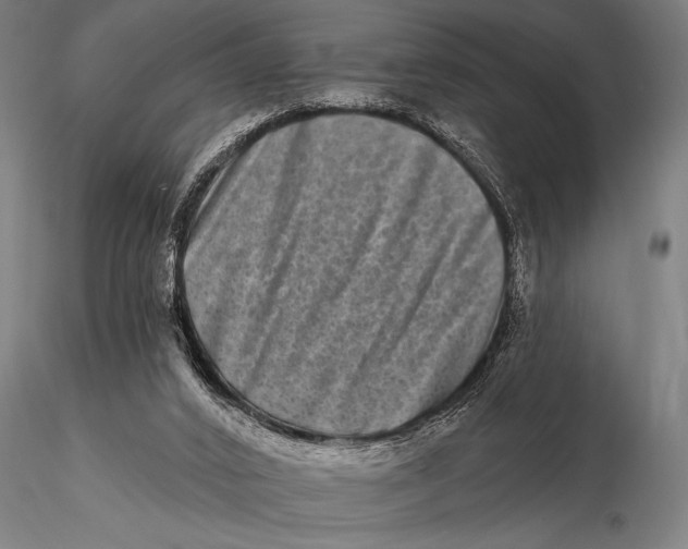 X0000115670016200912031407