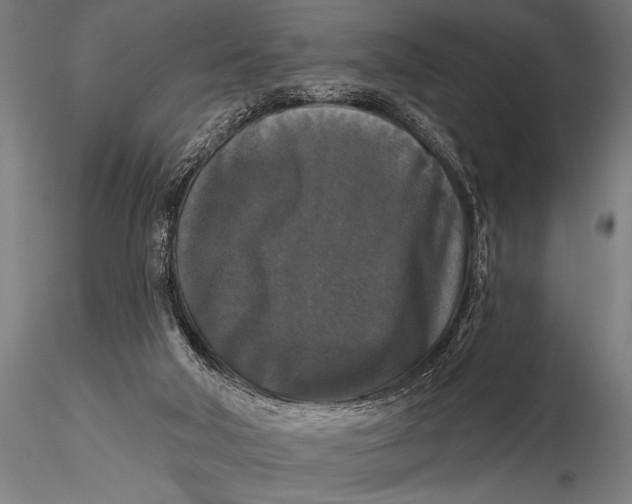 X0000115670018200912031407