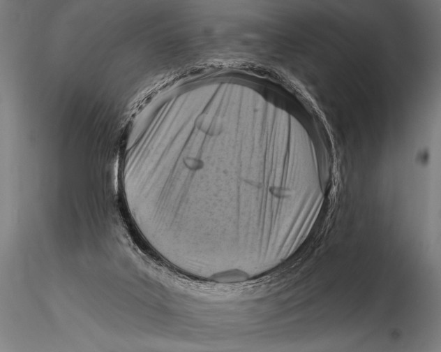 X0000115670019200912031407