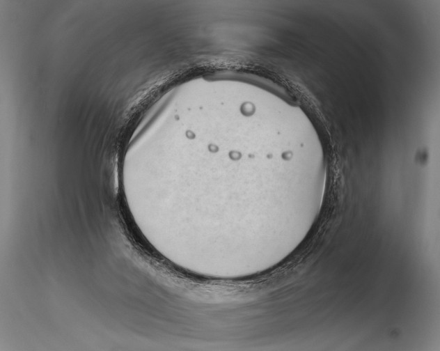 X0000115670020200912031407