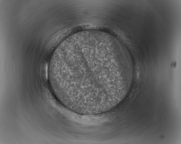 X0000115670022200912031406