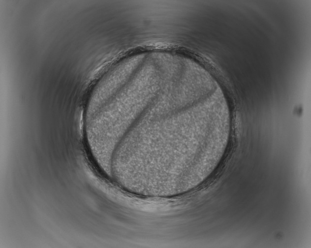 X0000115670024200912031406