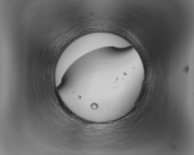 X0000115670025200912031406