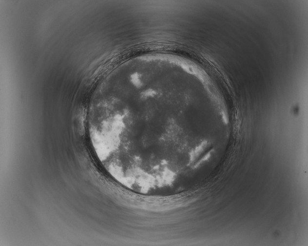 X0000115670026200912031406