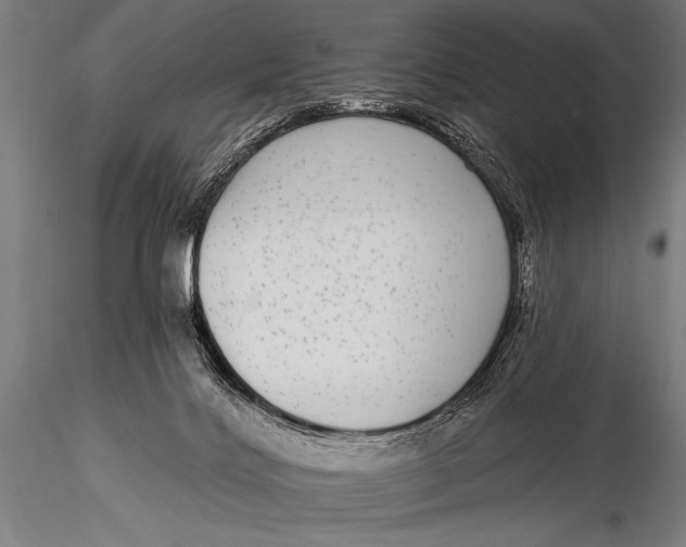 X0000115670028200912031406