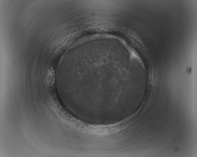 X0000115670029200912031406