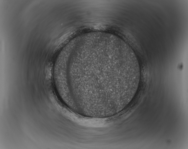 X0000115670032200912031406